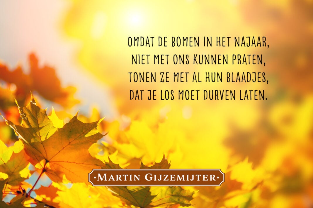 Dichtgedachten_1177