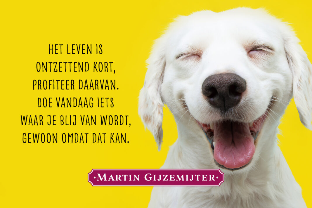 Dichtgedachten_776